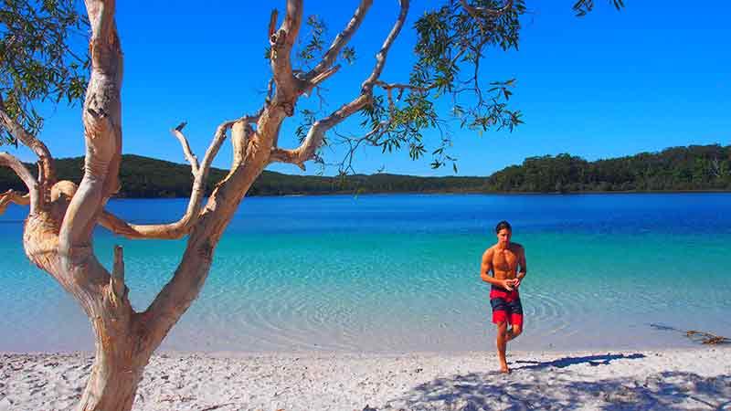 Experience K’gari's (Fraser Island's) natural wonders in one of our purpose built 4WD “Warrior’s”, departing Noosa and Rainbow Beach.